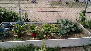 Bennett Compost place picture