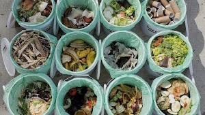 Greener Bay Compost place picture